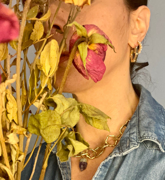 dry flowers to decorate your home