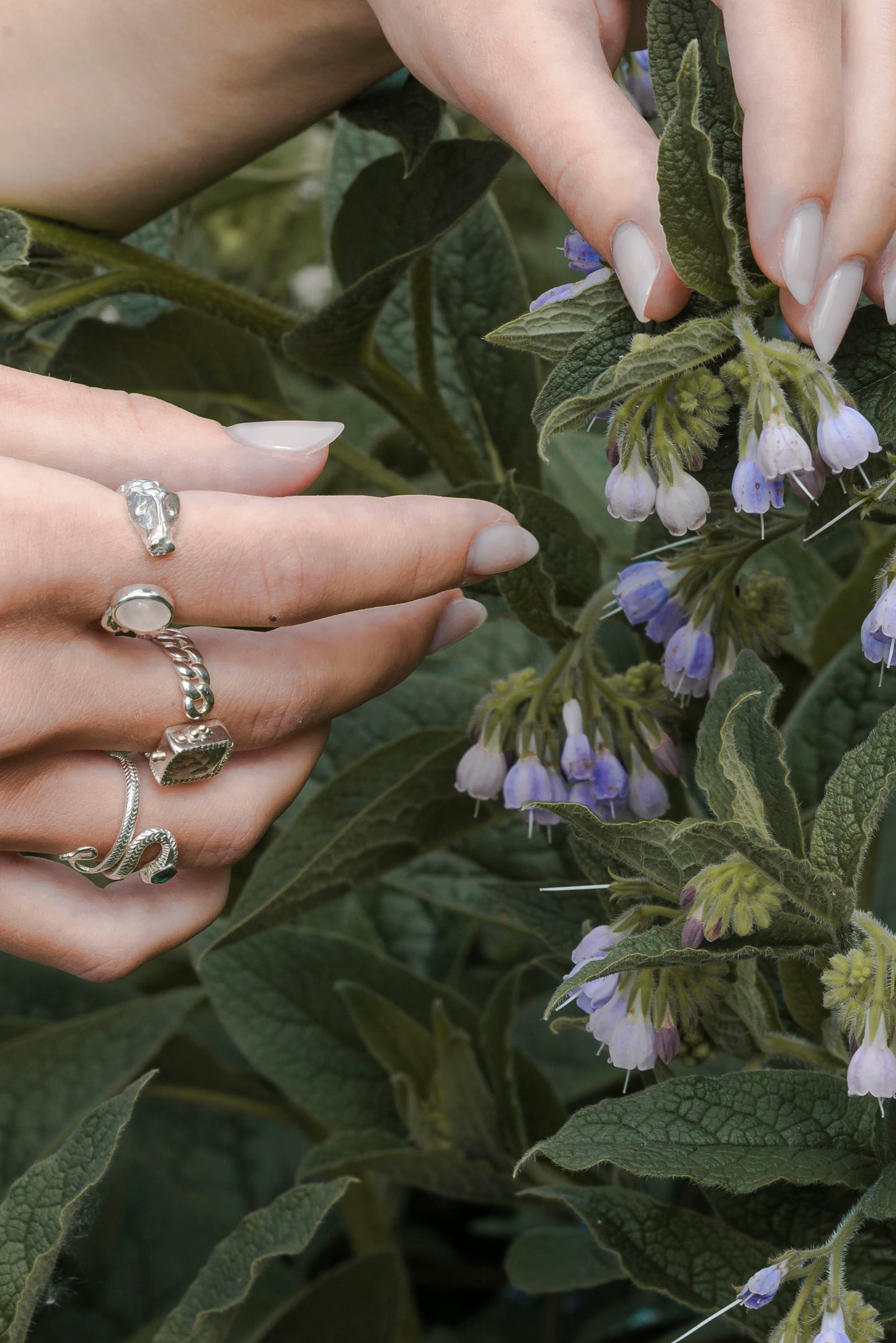 Rose Pisces Ring